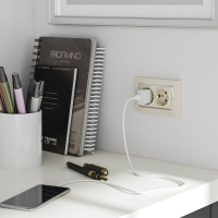 Розетка двойная с заземлением (слоновая кость) Werkel W1172003