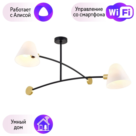 Люстра на штанге Favourite Statera с поддержкой Алиса 3045-2P-A 