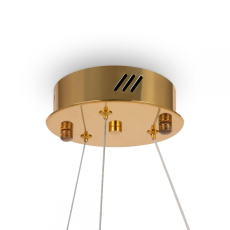 Подвесная диммируемая люстра с пультом ДУ Freya Tier FR5257PL-L25G 