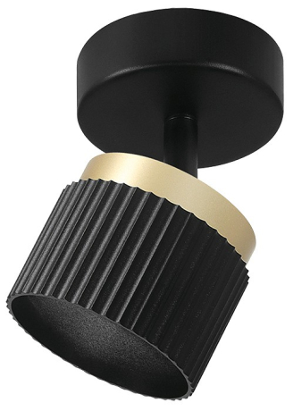 Накладной светильник Wolta MUSE WSL-GX53/19BG-2 