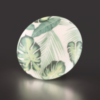 Настенно-потолочный светильник Sonex Flori Pale 7748/CL