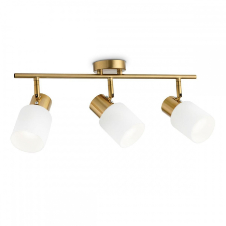 Спот Ambrella light Traditional TR3972 