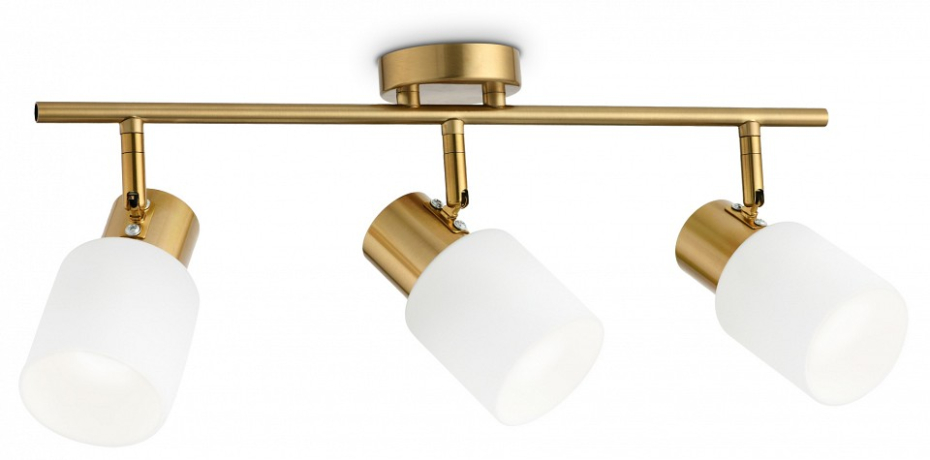 Спот Ambrella Light TR TR3972 