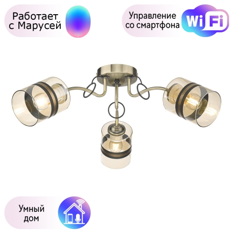 Потолочная люстра Velante с поддержкой Маруся 217-507-03-М 