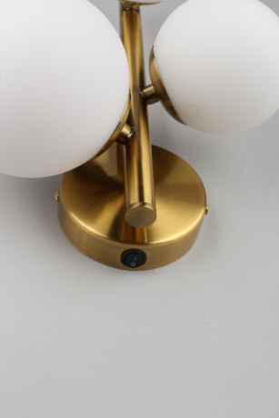 Бра в комплекте с Led лампами APLOYT APL.314.01.03+Lamps 