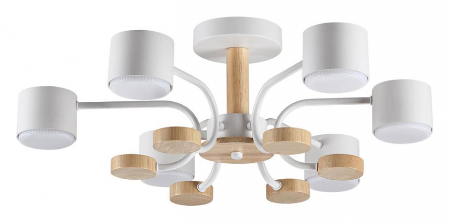 Люстра на штанге Lumion Rondo 8231/6C 