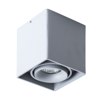 A5654PL-1GY Светильник потолочный Arte Lamp Pictor