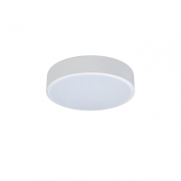 Потолочный светодиодный светильник Axel Loft It 10002/12 White