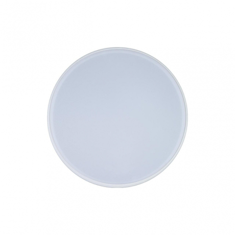 Потолочный светодиодный светильник Axel Loft It 10002/12 White 