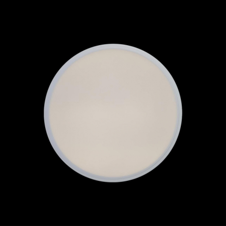 Потолочный светодиодный светильник Axel Loft It 10002/12 White 