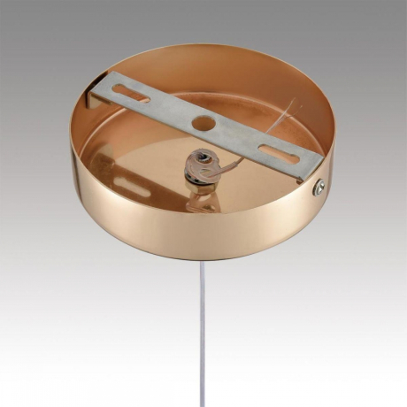 Подвесной светодиодный светильник Lumion Ledio Rimini 8083/1A 