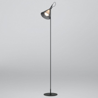 Торшер Eurosvet Enigma 01187/1 черный