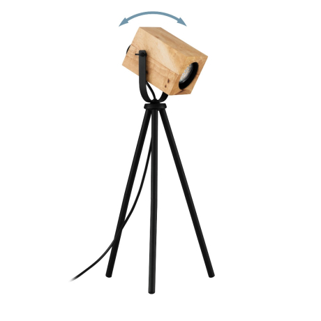 Настольная лампа Eglo Ayles 43749 