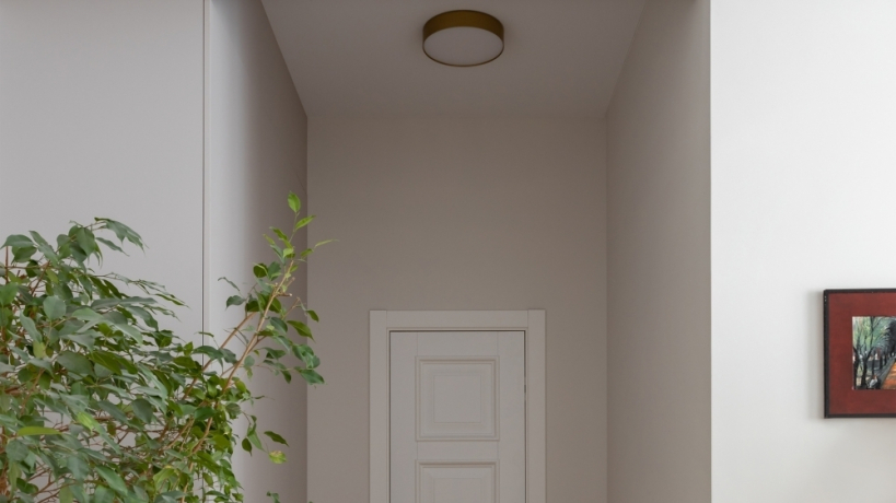 Потолочный светильник Technical C032CL-36W4K-RD-MG Zon 