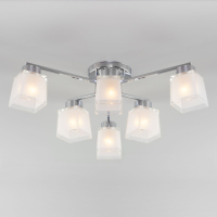 Потолочная люстра Eurosvet Ascot Delfi 30162/6 хром a047321