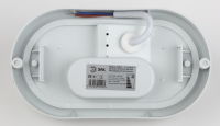 Cветильник светодиодный IP65 15Вт 1425Лм 6500К ОВАЛ ЖКХ LED SPB-202-0-65К-015 Эра (40/840) Б0047626