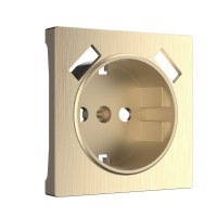 Накладка  для розетки USB (шампань рифленый) Werkel W1179510
