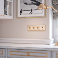 Накладка  для розетки USB (шампань рифленый) Werkel W1179510