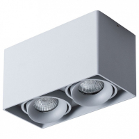 A5654PL-2GY Светильник потолочный Arte Lamp Pictor