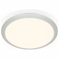 Накладной светильник Ambrella Light FF FF49