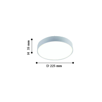 2065-30C Светодиодный настенно-потолочный светильник Favourite Flashled