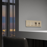 Сенсорный выключатель одноклавишный с подсветкой (шампань) W4512011 Werkel