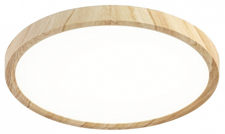 Накладной светильник Citilux Бейсик CL738242V 