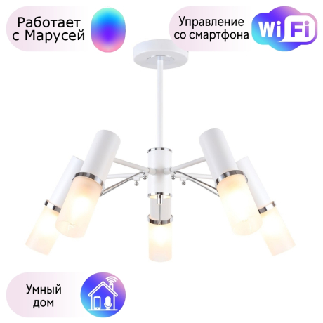 Люстра на штанге F-Promo Viator с поддержкой Маруся 2559-5P-М 