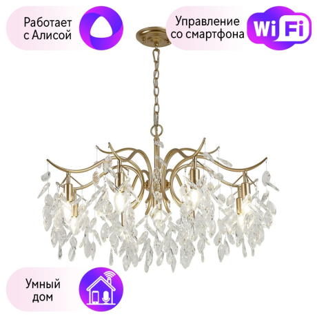 Подвесная люстра Favourite Brillo с поддержкой Алиса 3003-9P-A 