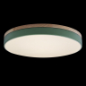 Потолочный светодиодный светильник Axel Loft It 10001/36 Green 