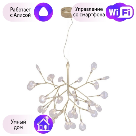 Подвесная люстра Crystal Lux с поддержкой Алиса EVITA SP36 GOLD/TRANSPARENT-А 