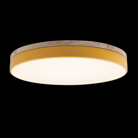 Потолочный светодиодный светильник Axel Loft It 10001/36 Yellow 