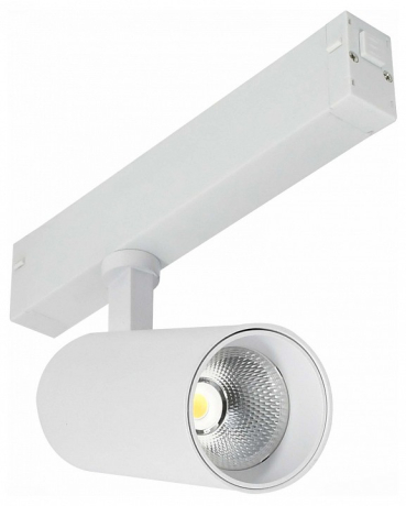 Светильник на штанге ST-Luce SKYLINE 220 ST660.536.20H 