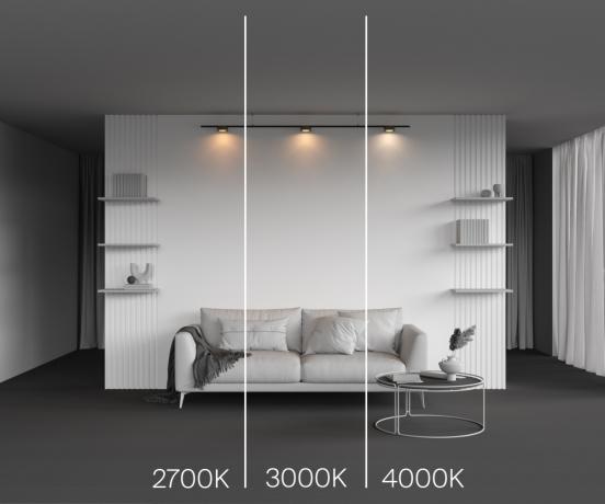 Трековый светильник Technical TR189-1-12W4K-BBS Zon 