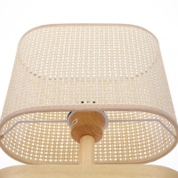 Настольная лампа Lumion Maderana County 8201/1T