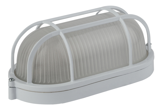 Настенный светильник Эра НБП 04-60-002 (Б0048425) 