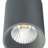 Накладной светильник Escada 20003 20003SMU/01LED SGY 