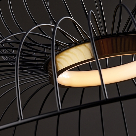 Подвесной светильник Freya Citrus FR5398PL-L6B 