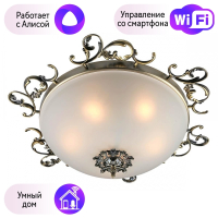 Люстра с поддержкой Алисы потолочная Omnilux OML-76507-05-A