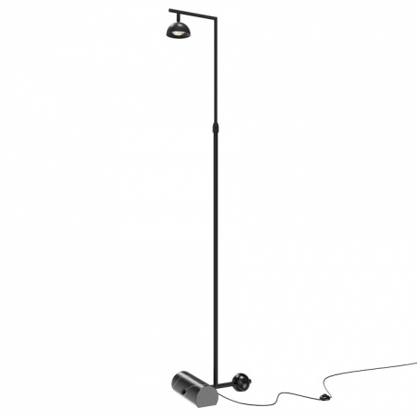 Торшер Maytoni Pikant MOD372FL-L10B3K 