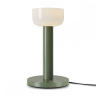 Настольный светильник Freya FR6185TL-L5GN 