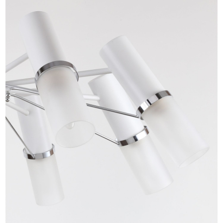 Люстра на штанге F-Promo Viator 2559-8P 