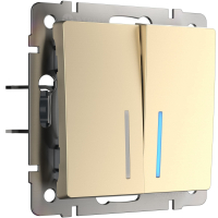 Выключатель двухклавишный с подсветкой (шампань) Werkel W1120111