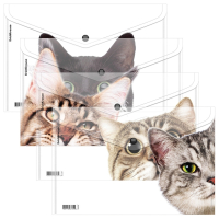 Нарушена упаковка!  <710040> Папка-конверт на кнопке пластиковая ERICH KRAUSE "Hiding Cats", A4, ассорти, 61155 (272656)