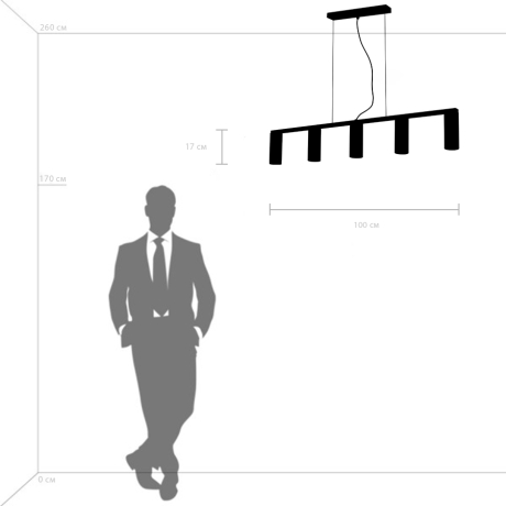 Подвесная люстра Lightstar Roma 718057 