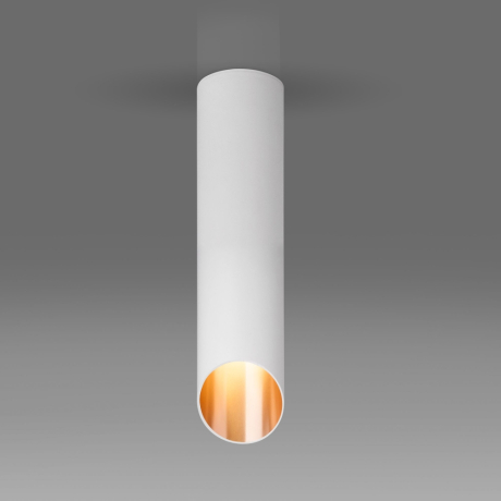 Накладной светильник Elektrostandard DLN115 GU10 белый/золото (a050121) 