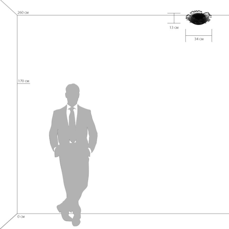 601030 Потолочный светильник Lightstar с поддержкой Маруся Murano 