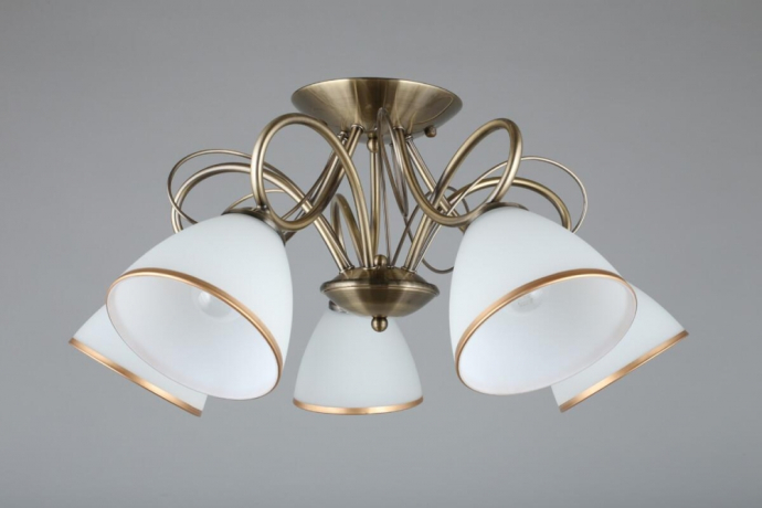 OML-25307-05 Потолочная люстра Omnilux Alimini 