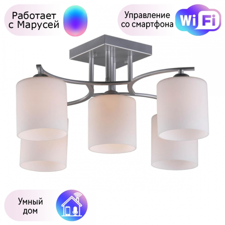 Люстра с поддержкой Маруси потолочная Omnilux OML-55307-05-M 