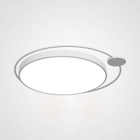 Потолочный светильник Destin D50 White ImperiumLoft DESTIN01 (193728-26)